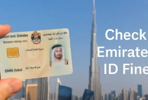 Check Emirates Id Fine UAE
